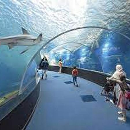 La maison du pêcheur Boulogne sur mer centre Boulogne-sur-Mer Extérieur photo