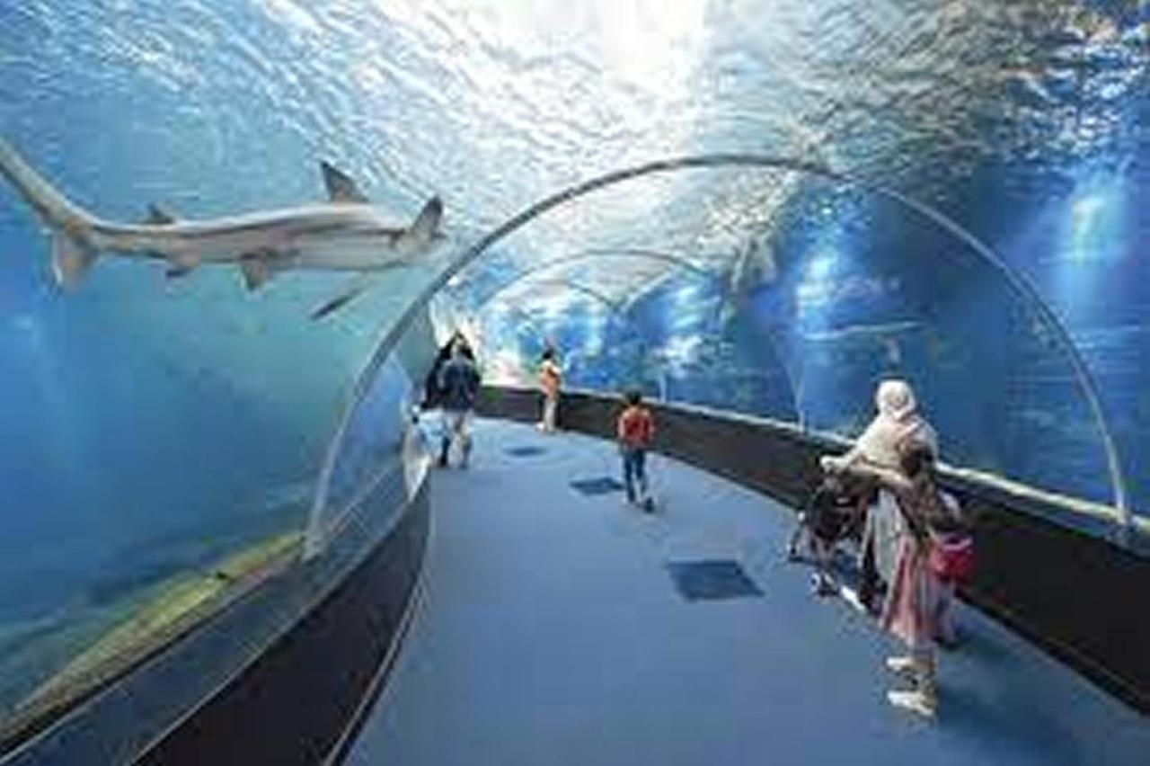 La maison du pêcheur Boulogne sur mer centre Boulogne-sur-Mer Extérieur photo